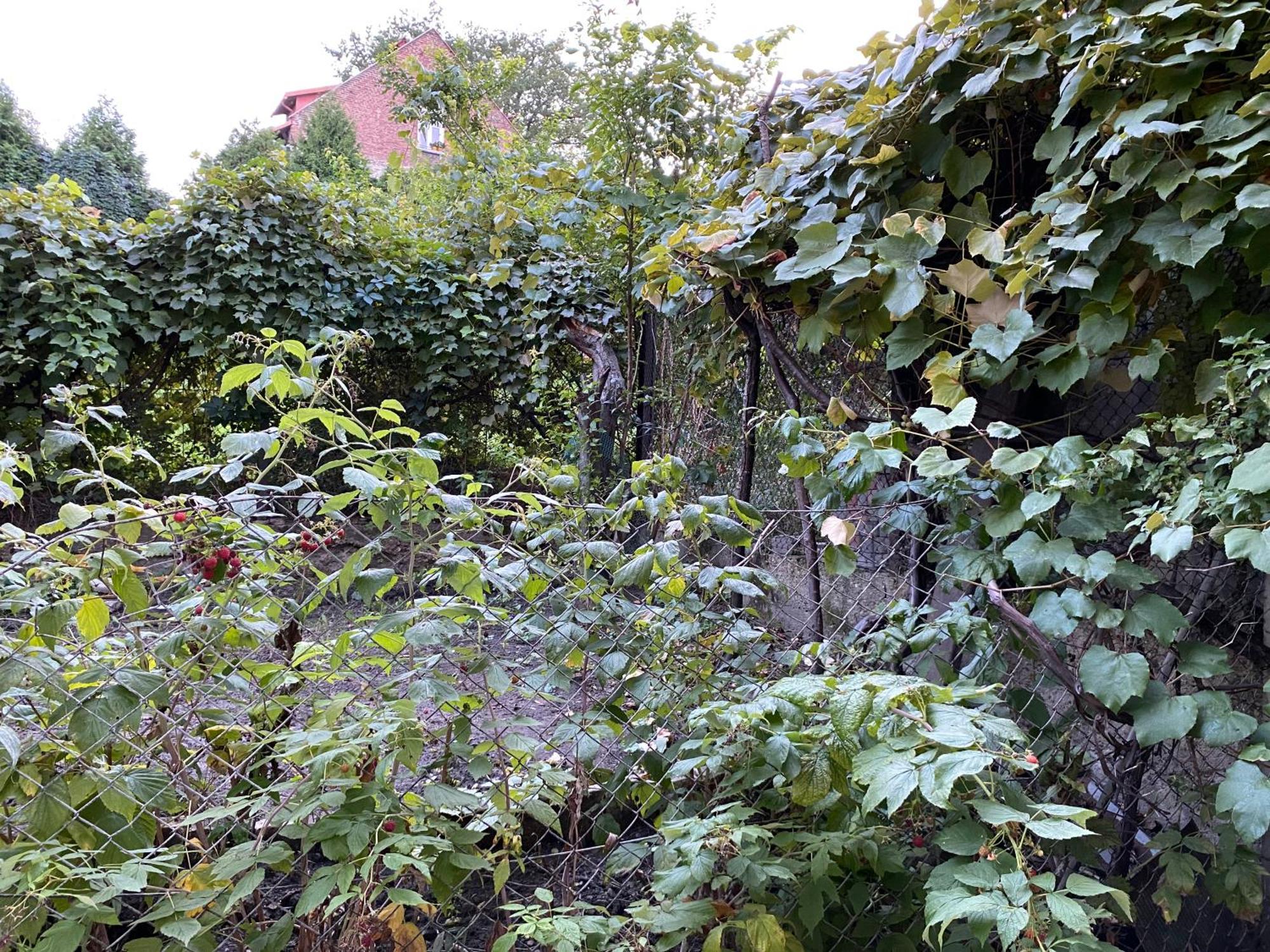 Apartamenty Lux Slowackiego, Przemyśl Exterior foto